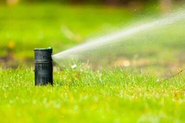 Irrigation Issues: Sunken Sprinkler Heads